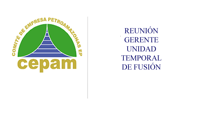 Reunión Gerente Unidad Temporal Fusión PAM-EP, avance del proceso